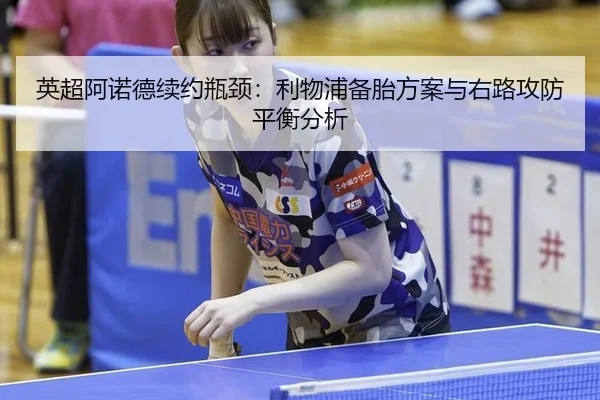 ying-chao-a-nuo-de-xu-yue-ping-jing-li-wu-pu-bei-tai-fang-an-yu-you-lu-gong-fang-ping-heng-fen-xi-2-928.jpg